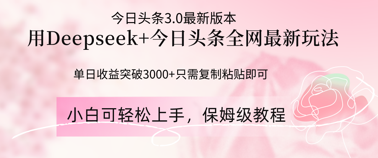 Deepseek结合今日头条全网最新玩法，单日收益突破3000+，只需要简单的…-天星云网创