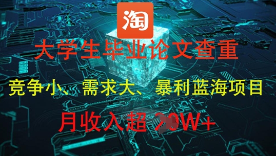 大学生毕业论文查重，暴利蓝海项目，月收入过1W+-天星云网创