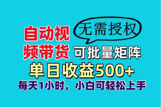 自动视频带货，可批量矩阵，单日收益500+、轻松实现睡后收益，小白可…-天星云网创