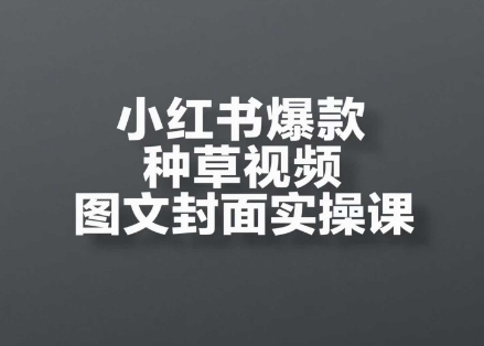 小红书爆款种草视频图文封面实操课，​开店、选品、引流、变现全流程-天星云网创