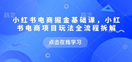 小红书电商掘金课，小红书电商项目玩法全流程拆解(更新5月)-天星云网创