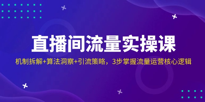 直播间流量实操课：机制拆解+算法洞察+引流策略，3步掌握流量运营核心逻辑-天星云网创