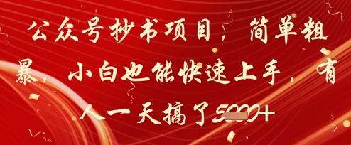 公众号抄书项目，简单粗暴，小白也能快速上手，有人一天搞了1k+-天星云网创
