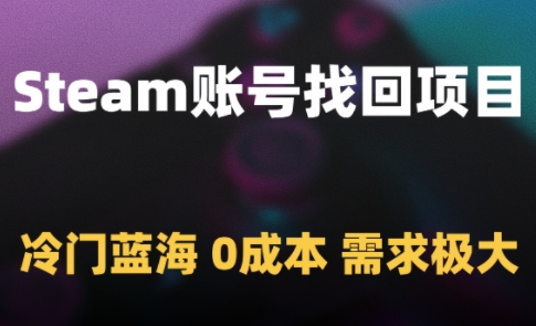 Steam账号找回项目，冷门蓝海，0成本，需求极大-天星云网创
