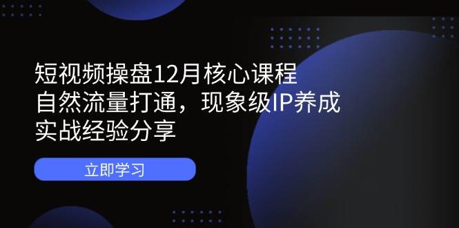 短视频操盘12月核心课程：自然流量打通，现象级IP养成，实战经验分享-天星云网创