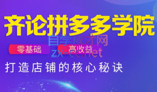 齐论拼多多vip课程-天星云网创