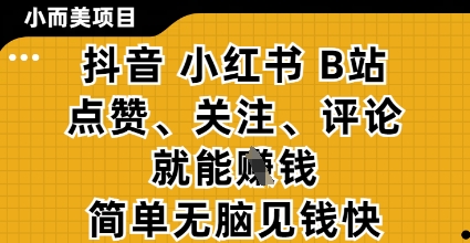小而美的项目，抖音小红书B站视频点赞、关注、评论就能挣钱，简单无脑立见收益，妥妥的零撸项目【揭秘】-天星云网创