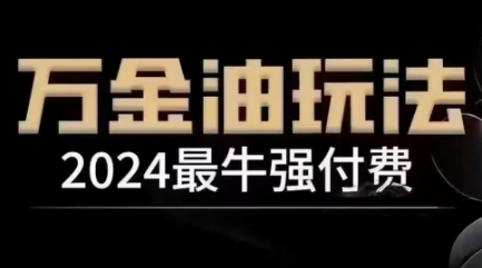 2024最牛强付费，万金油强付费玩法，干货满满，全程实操起飞(更新25年04月)-天星云网创