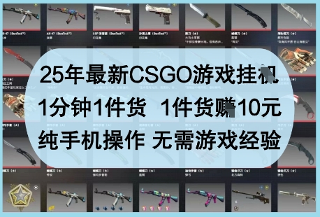 25年最新CSGO游戏挂G，1分钟1件货，1件货挣10元，纯手机操作，无需游戏经验【揭秘】-天星云网创
