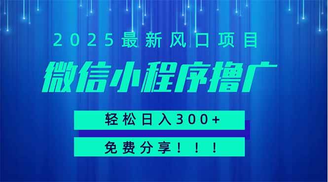 微信小程序撸广，最新风口项目，日入300+ 免费分享 可批量操作 小白可…-天星云网创
