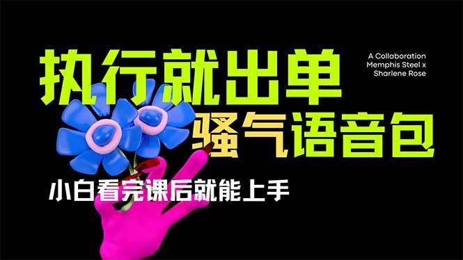 爆火全网的开车导航骚气语音包,只要执行就出单，小白看完课程就能实操…-天星云网创