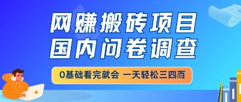 网创搬砖项目，国内问卷调查，小白轻松上手，一天三四张的也不难，干就完了【揭秘】-天星云网创