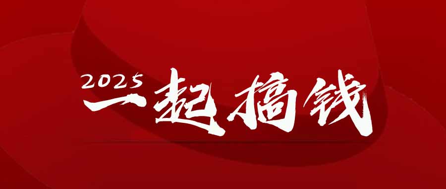 2025年，请“不择手段”去搞钱!-天星云网创