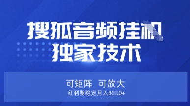 【搜狐音频挂G】独家技术，可矩阵可放大，红利期稳定月入8k【揭秘】-天星云网创