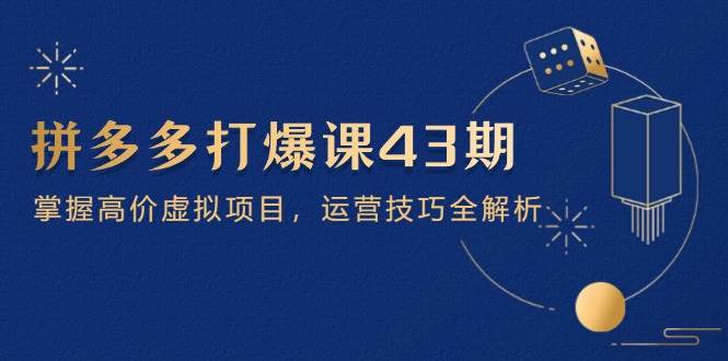 拼多多打爆课第 43 期，掌握高价虚拟项目，运营技巧全解析（15节）-天星云网创