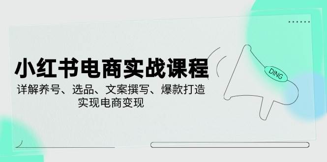 小红书电商实战课程，详解养号、选品、文案撰写、爆款打造，实现电商变现-天星云网创