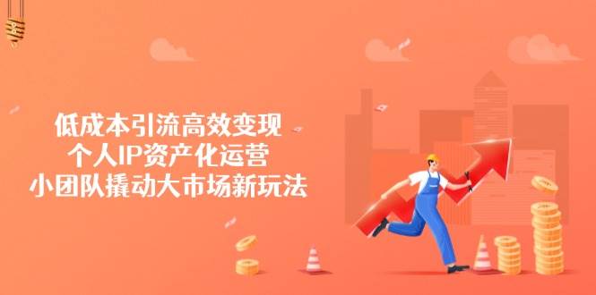 低成本引流高效变现，个人IP资产化运营，小团队撬动大市场新玩法-天星云网创