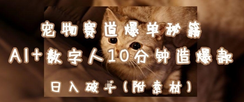 宠物赛道爆单秘籍：AI+数字人10分钟造爆款，日入1k-天星云网创
