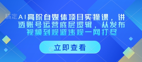 AI高阶自媒体项目实操课，讲透账号运营底层逻辑，从发布视频到规避违规一网打尽-天星云网创