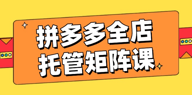 拼多多全店托管矩阵课，盈利动销玩法，高效计划设置，提升店铺效益-天星云网创