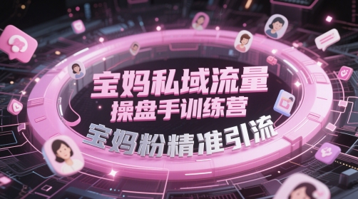 宝妈私域流量操盘手训练营，宝妈粉精准引流-天星云网创