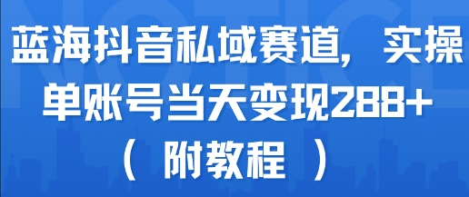 蓝海抖音私域赛道，实操单账号当天变现288+(附教程)-天星云网创