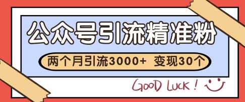 公众号精准粉引流玩法，2个月3000+精准粉，变现30个W【揭秘】-天星云网创