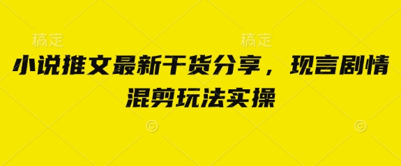 小说推文最新干货分享，现言剧情混剪玩法实操-天星云网创